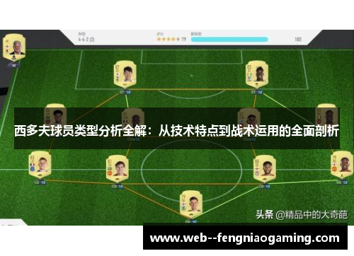 西多夫球员类型分析全解：从技术特点到战术运用的全面剖析