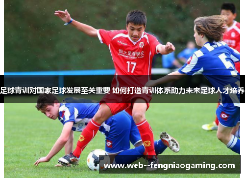 足球青训对国家足球发展至关重要 如何打造青训体系助力未来足球人才培养