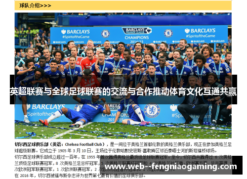 英超联赛与全球足球联赛的交流与合作推动体育文化互通共赢