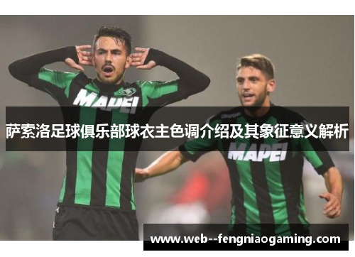 萨索洛足球俱乐部球衣主色调介绍及其象征意义解析