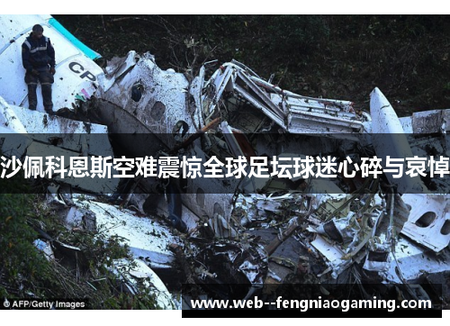 沙佩科恩斯空难震惊全球足坛球迷心碎与哀悼